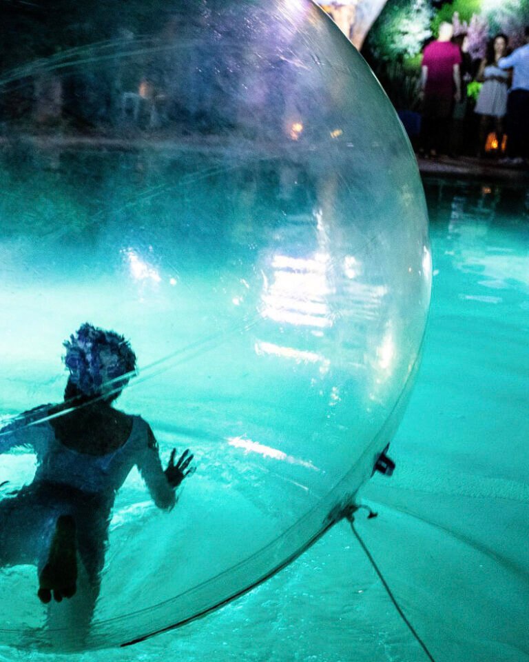 23-67871106_640656536430196_7578957139436109824_n